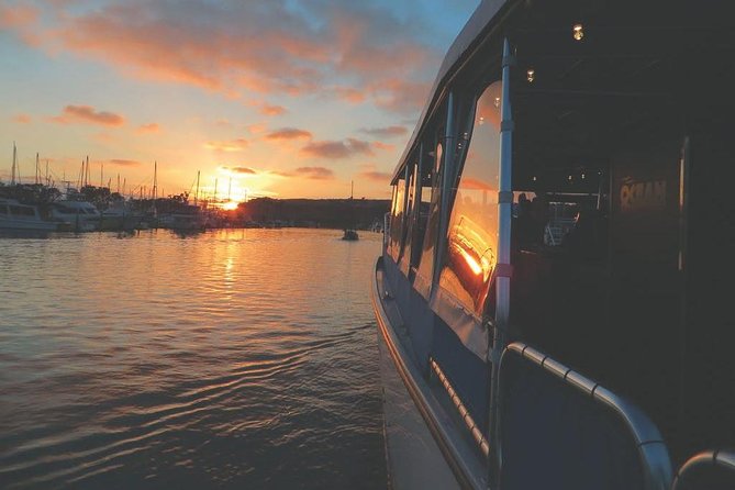 Luxury Catamaran Sunset and Wine Cruise From Dana Point - Reviews and Ratings