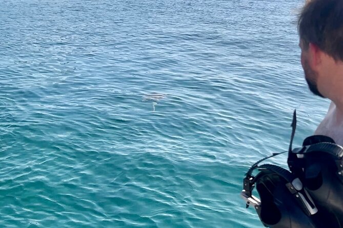 Luxury Catamaran Turtle Snorkel & Sunset Cruise - Health and Safety