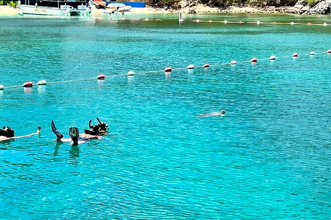 Luxury Catamaran Turtle Snorkel & Sunset Cruise - Preparing for the Cruise