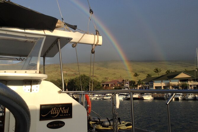 Luxury Catamaran Whale Watch - Whale Watching Highlights