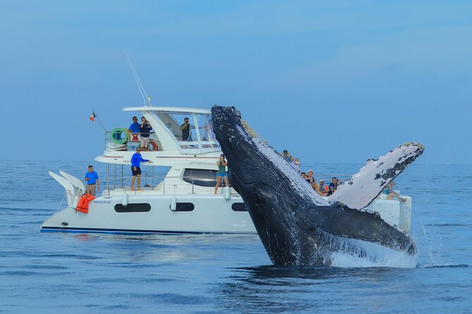Luxury Catamaran Whale Watching Cabo San Lucas - Views of Cabo San Lucas