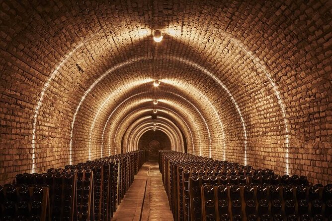 Luxury Champagne Tour: Famous House & Confidential Domaine - Experience and Itinerary