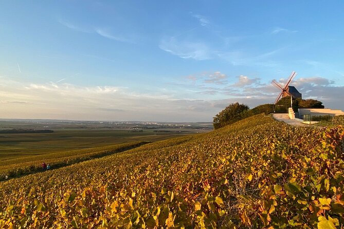 Luxury Champagne Tour: Famous House & Confidential Domaine - Regional History and Culture