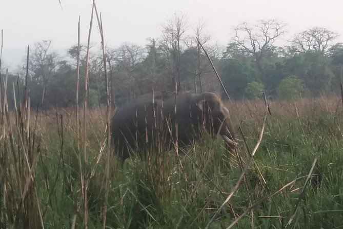 Luxury Chitwan Jungle Safari - 3 Days - Inclusions and Exclusions
