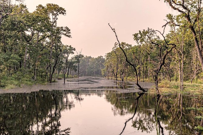 Luxury Chitwan Jungle Safari - 3 Days - Pricing and Cancellation