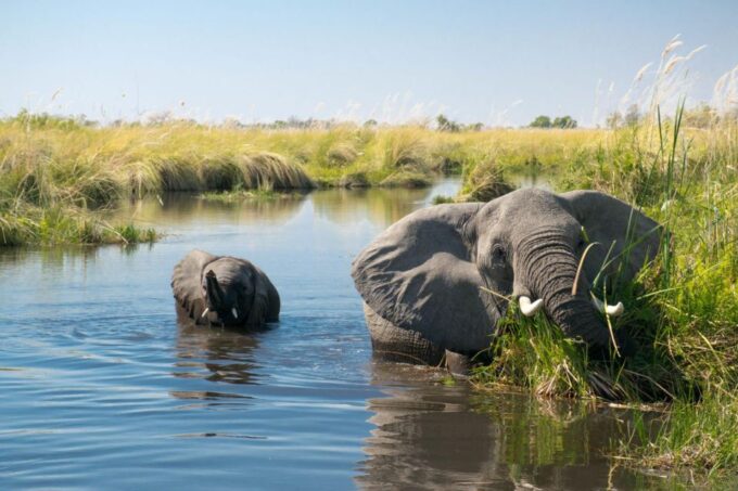 Luxury Chitwan Jungle Safari 4 Days Tour - Packing and Preparation