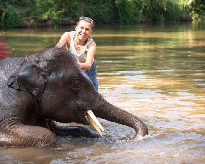 Luxury Chitwan Jungle Safari 4 Days Tour - Customer Feedback and Reviews
