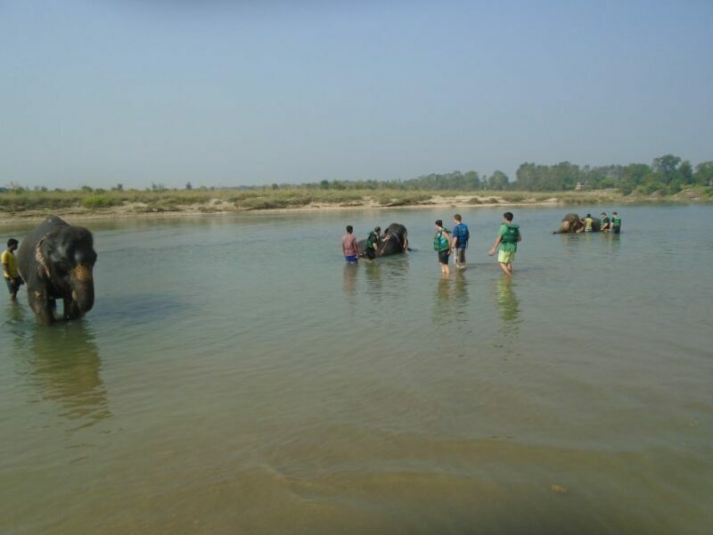Luxury Chitwan Jungle Safari Package (2Nights/3Days) Resort - Introduction
