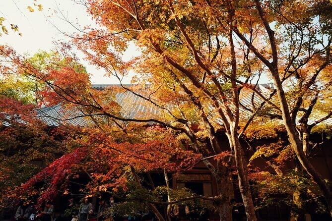 Luxury Classic Kyoto Day Tour - Private Customized Car Tour - Yasaka Shrine