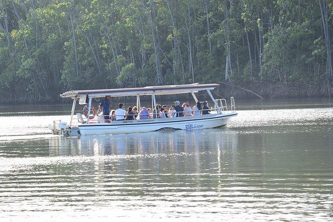 Luxury Daintree - Cape Tribulation Tour From Port Douglas - Daintree Rainforest Exploration