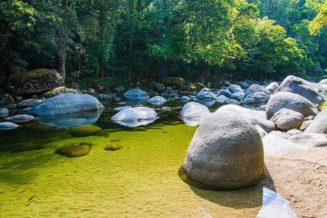 Luxury Daintree - Cape Tribulation Tour From Port Douglas - Afternoon Tea and Lunch