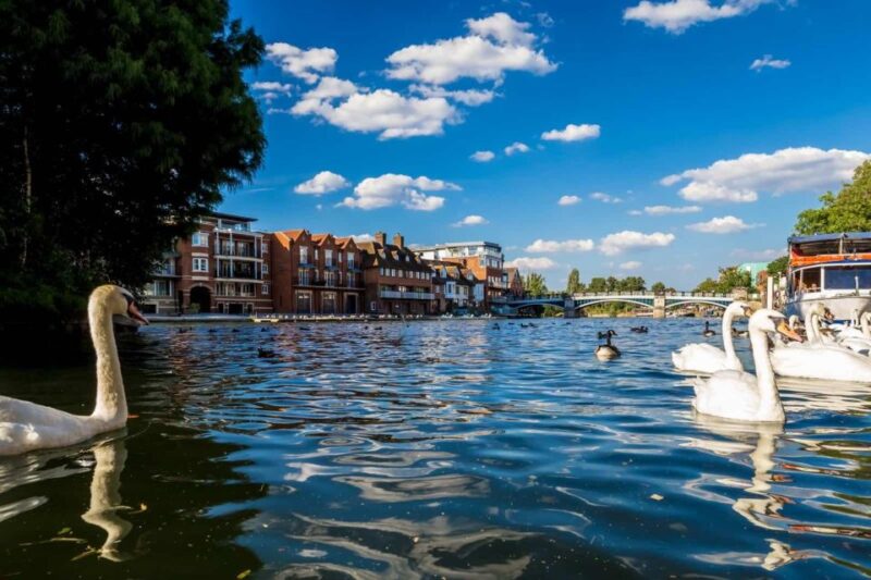 Luxury Day Tour: 10 Hour Oxford & Bicester Village - Important Considerations