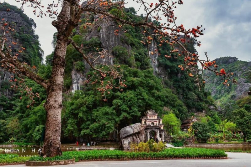 Luxury Day Trip: Bich Dong, Local Farmers House, Trang An - Preparation and Important Information