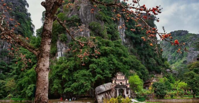 Luxury Day Trip: Bich Dong, Local Farmers House, Trang An - Booking and Cancellation
