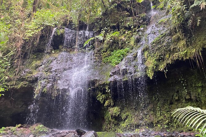 Luxury Day Trip Getting off the Beaten Path Waterfalls & Caverns - An Off-the-Beaten-Path Adventure Awaits