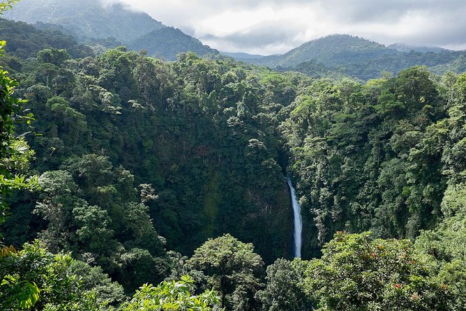 Luxury Day-Trip off the Beaten Path to Monteverde Rain Forest - Discover Hummingbird and Butterfly Havens