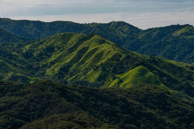 Luxury Day-Trip off the Beaten Path to Monteverde Rain Forest - Refreshing Waterfall Rappelling Experience