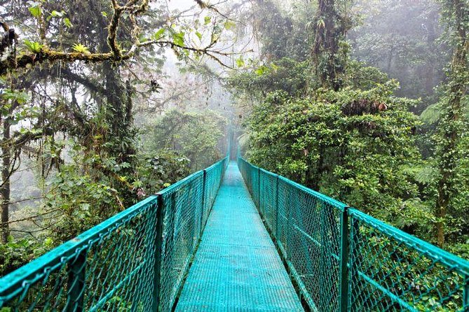 Luxury Day-Trip off the Beaten Path to Monteverde Rain Forest - Seamless Transportation and Customizable Itinerary