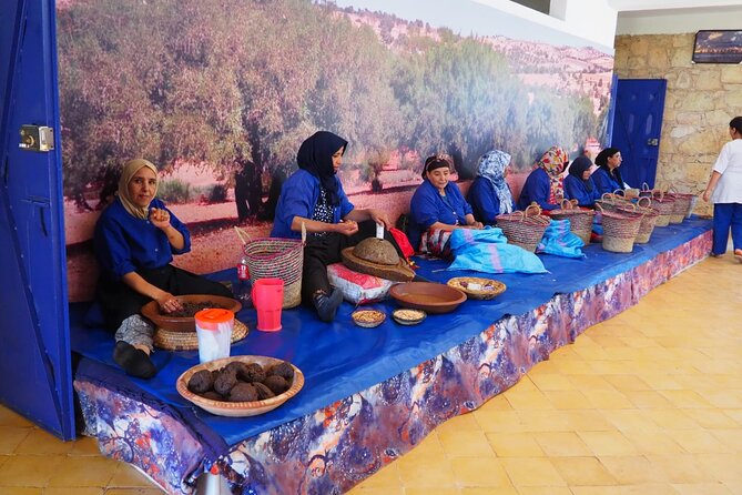 Luxury Day Trip to Essaouira - Accessibility Features