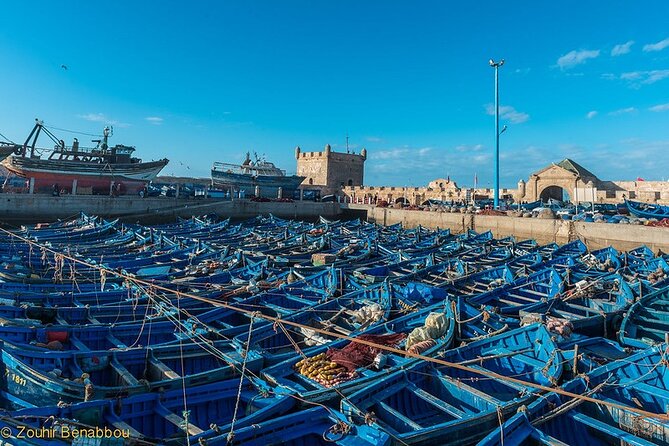 Luxury Day Trip to Essaouira - Traveler Reviews