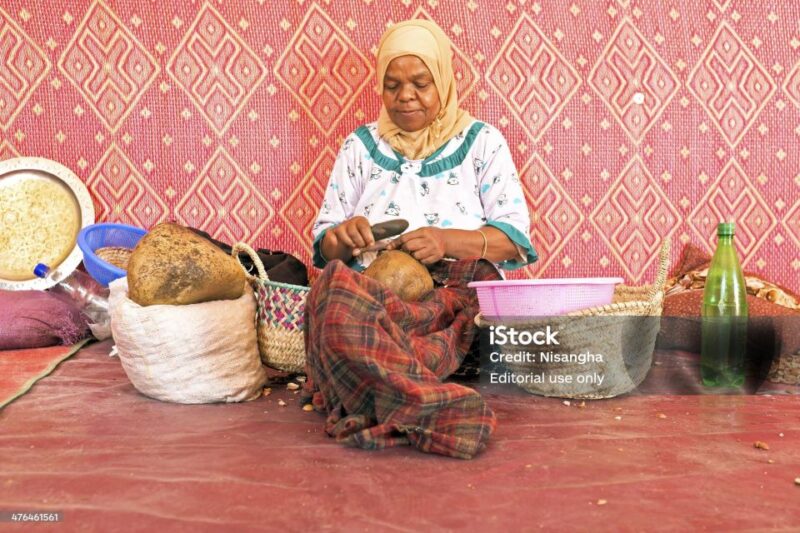 Luxury Day Trip to Essaouira From Marrakech - Itinerary Highlights