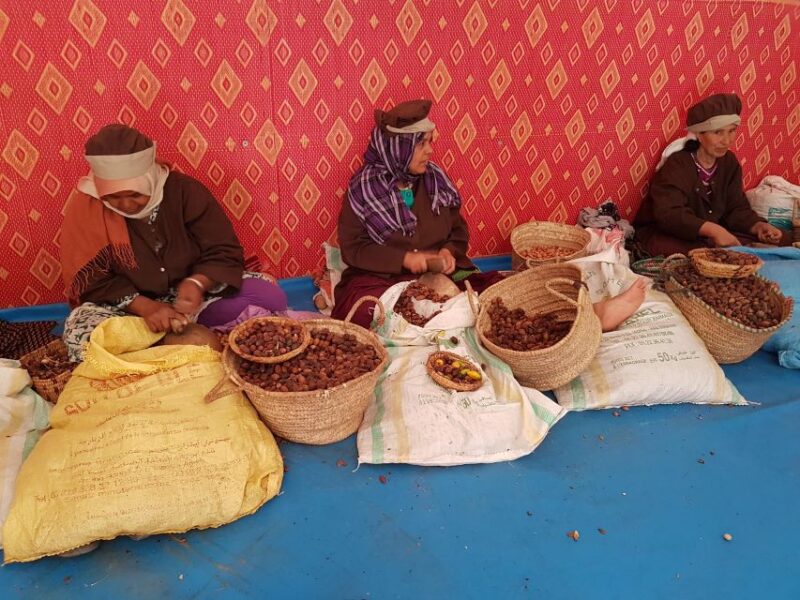 Luxury Day Trip to Essaouira From Marrakech - Customer Feedback and Ratings