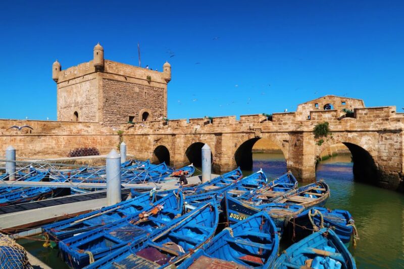 Luxury Day Trip to Essaouira From Marrakech - Discovering Argan Oil Production