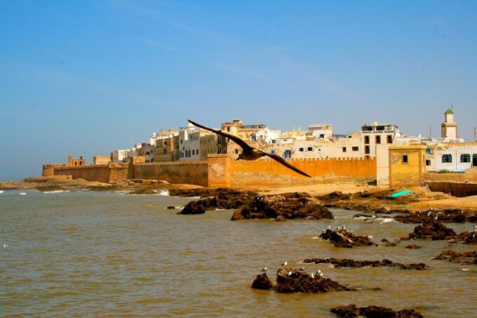 Luxury Day Trip to Essaouira From Marrakech - Frequently Asked Questions