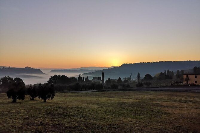 Luxury Eno and Oil Experience, by E-Bike and More... - Explore Orvieto, Italy