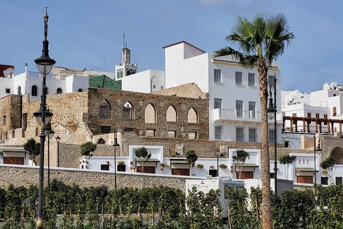 Luxury Full Private Day Tour To Tangier Including Ferry Ticket - Cancellation and Pricing