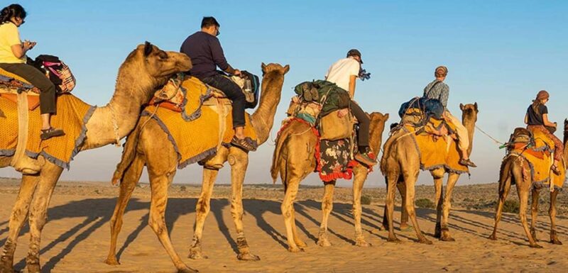 Luxury Glamping In Jaisalmer Desert - Key Points