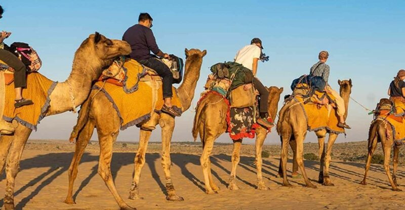 Luxury Glamping In Jaisalmer Desert - Itinerary and Highlights