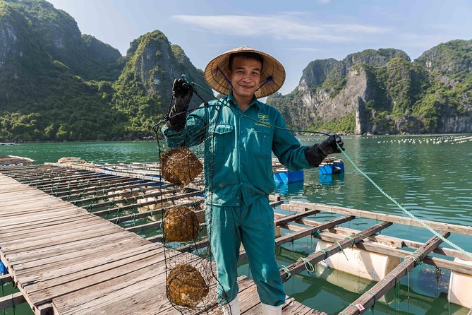 Luxury Halong Bay Day Trip From Hanoi - Good To Know