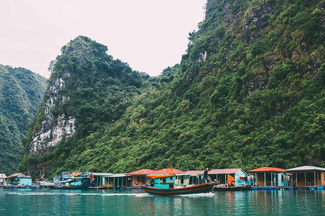 Luxury Halong Bay Day Trip From Hanoi - Positive Traveler Feedback