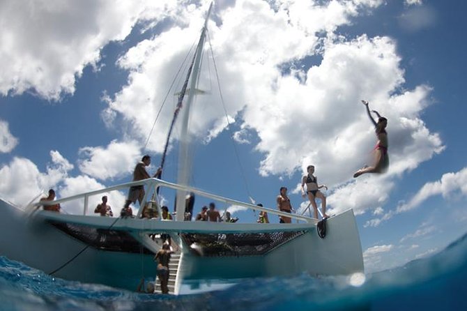 Luxury Hawaiian Sea Turtle, Dolphin Sail and Kona Snorkel - Snorkeling at Top Sites
