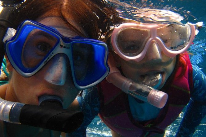 Luxury Hawaiian Sea Turtle, Dolphin Sail and Kona Snorkel - Spotting Marine Wildlife