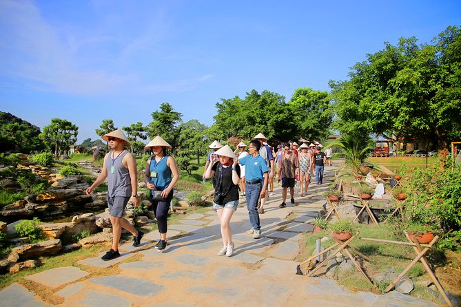 Luxury Hoa Lu Tam Coc Mua Cave 1 Day With Limousine Bus And Lunch - Cultural Immersion