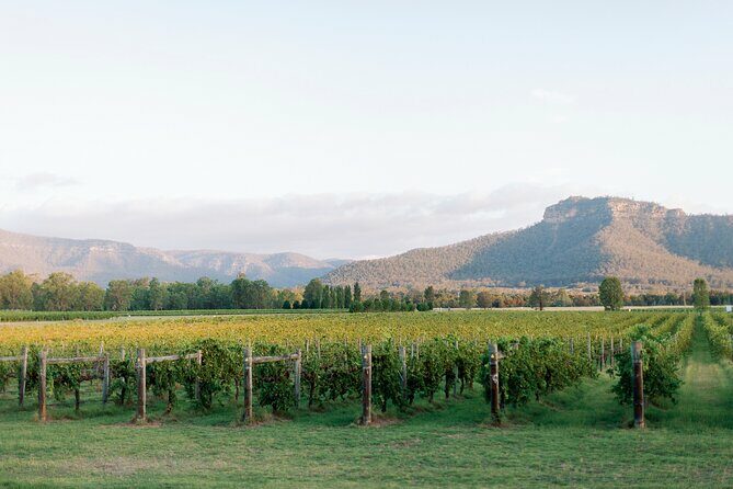Luxury Hunter Valley Tour: 3 Tastings, Gin, Lunch & Chocolatier - Final Thoughts