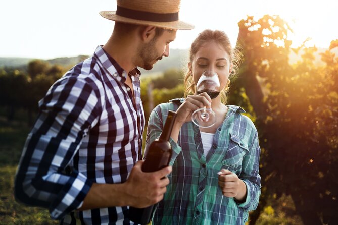 Luxury Hunter Valley Wildlife & Wine Tasting Tour From Sydney - Transportation and Amenities