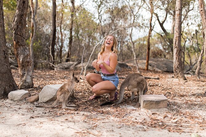 Luxury Hunter Valley Wildlife & Wine Tasting Tour From Sydney - Costs and Inclusions