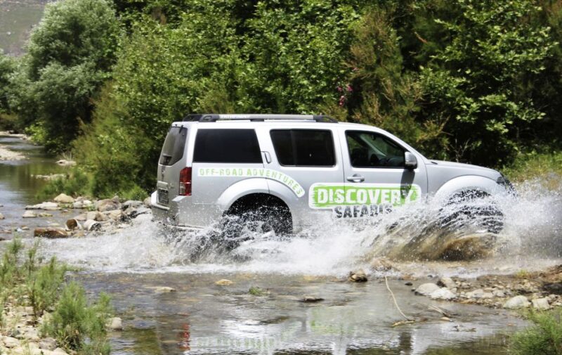 Luxury Jeep Safari to South Coast, Palm Beach and Canyons - Booking Information