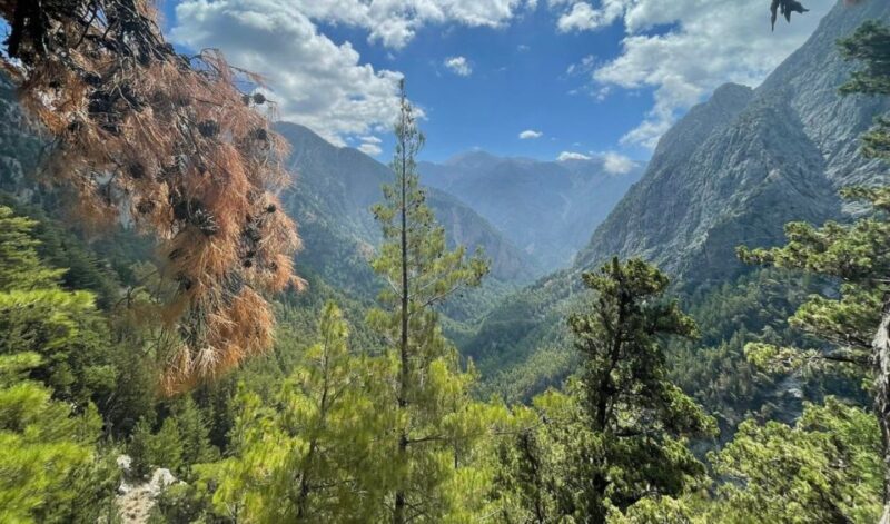 Luxury Jeep Safaris: White Mountains & Samaria Sightseeing - Highlights of the Tour