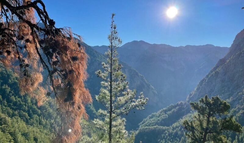 Luxury Jeep Safaris: White Mountains & Samaria Sightseeing - Authentic Mountain Cuisine