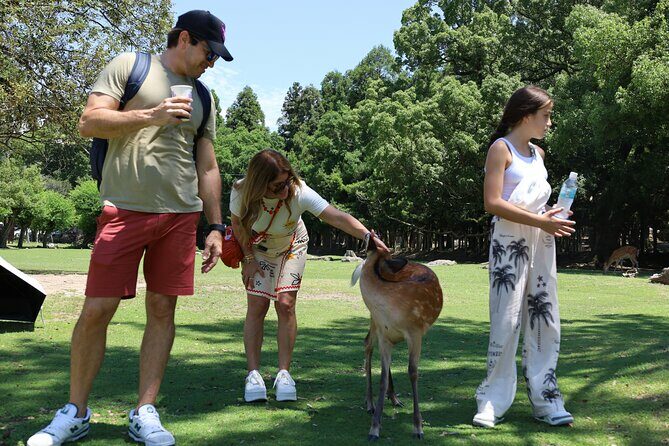 Luxury Kyoto 1-Day Private Car Tour with Nara & Osaka Options - The Sum Up