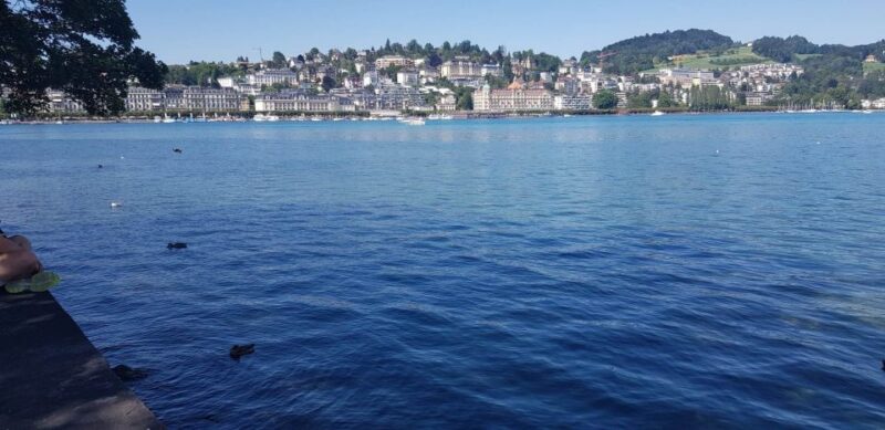 Luxury Limousine Transfer to Lucerne From Zurich - Mercedes S Class Comfort