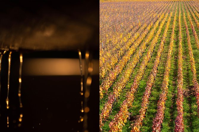 Luxury Luxury Wine Tour Experience - Additional Information