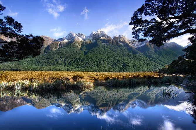 Luxury Milford Sound Coach and Scenic Cruise - Accessibility and Additional Information