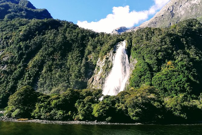Luxury Milford Sound Coach and Scenic Cruise - Scenic Highlights and Wildlife