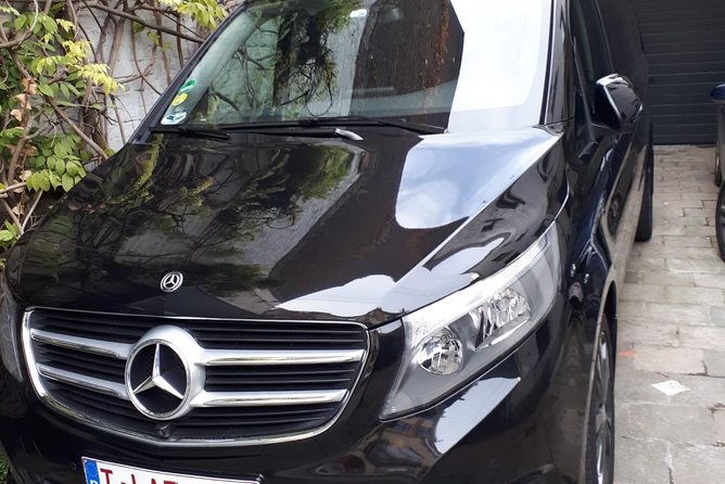 Luxury Minivan From Brussels Airport to the City of Brussels - Accessibility and Additional Services