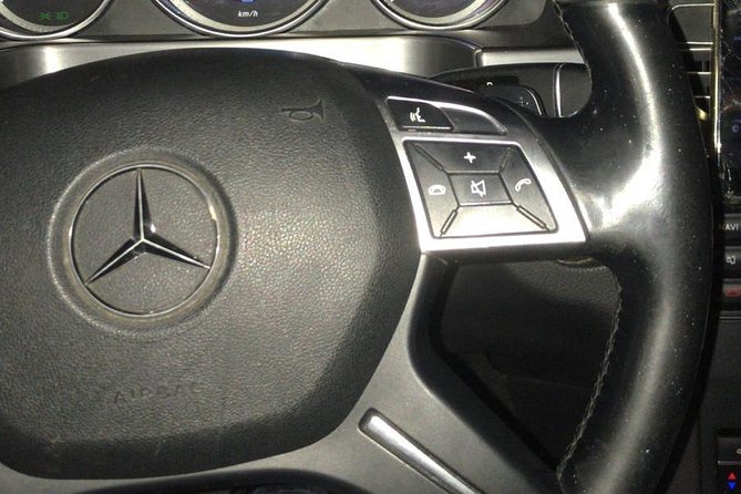 Luxury Minivan From Brussels Airport to the City of Brussels - Professional and Licensed Drivers